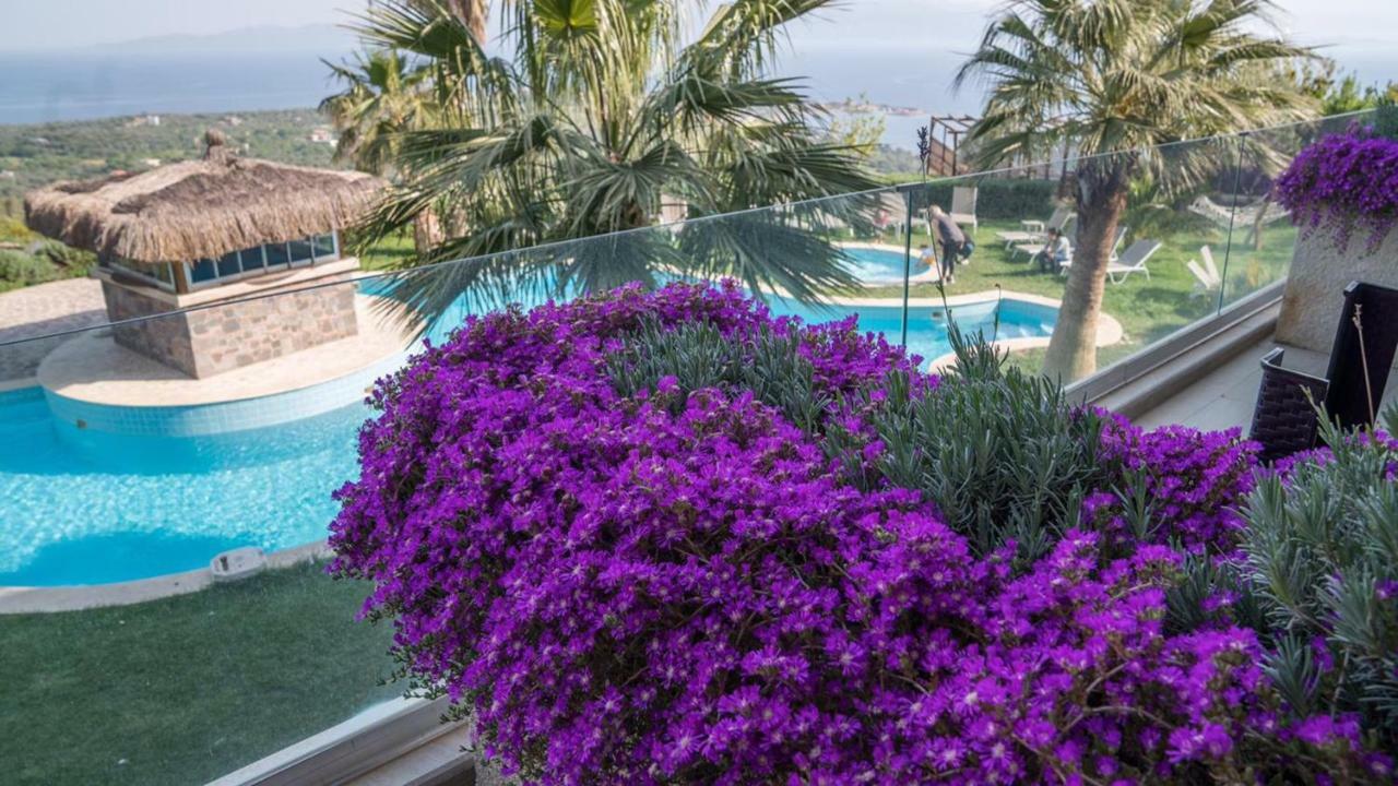 Assos Alis Farm Boutique Hotel & Spa Εξωτερικό φωτογραφία