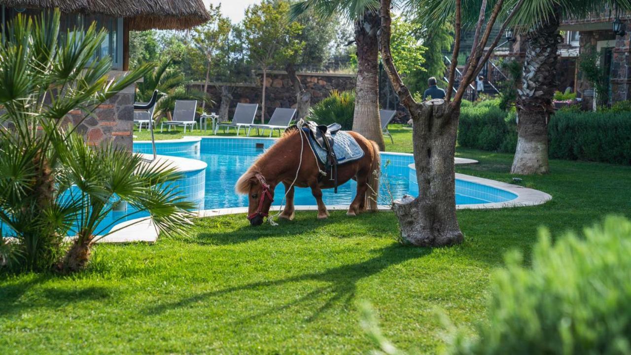 Assos Alis Farm Boutique Hotel & Spa Εξωτερικό φωτογραφία