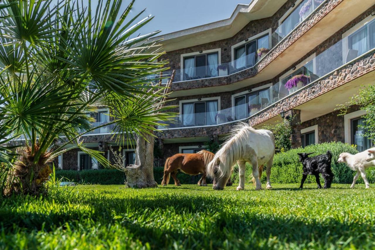 Assos Alis Farm Boutique Hotel & Spa Εξωτερικό φωτογραφία