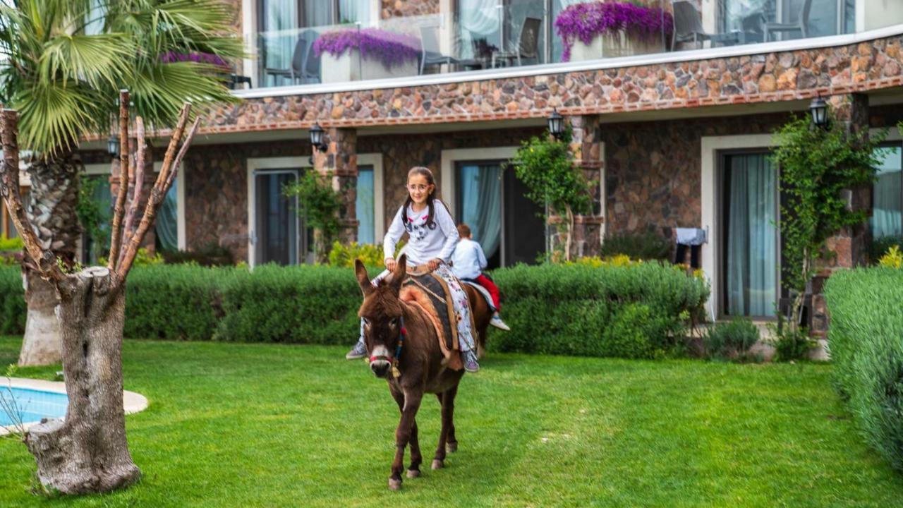 Assos Alis Farm Boutique Hotel & Spa Εξωτερικό φωτογραφία