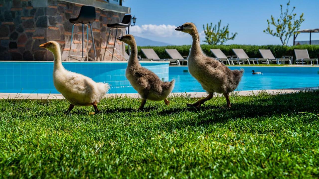 Assos Alis Farm Boutique Hotel & Spa Εξωτερικό φωτογραφία