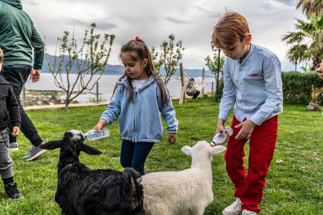Assos Alis Farm Boutique Hotel & Spa Εξωτερικό φωτογραφία
