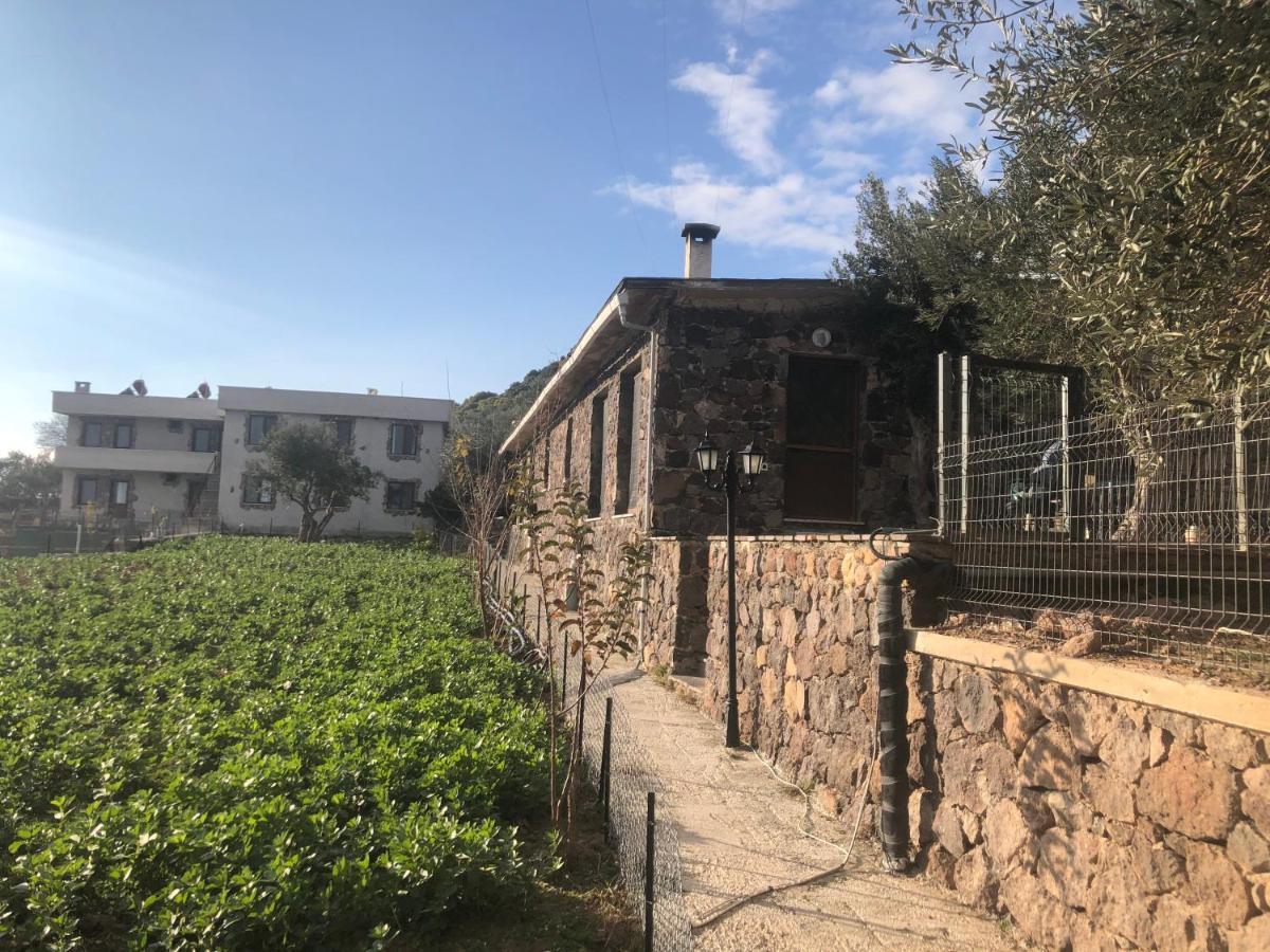 Assos Alis Farm Boutique Hotel & Spa Εξωτερικό φωτογραφία